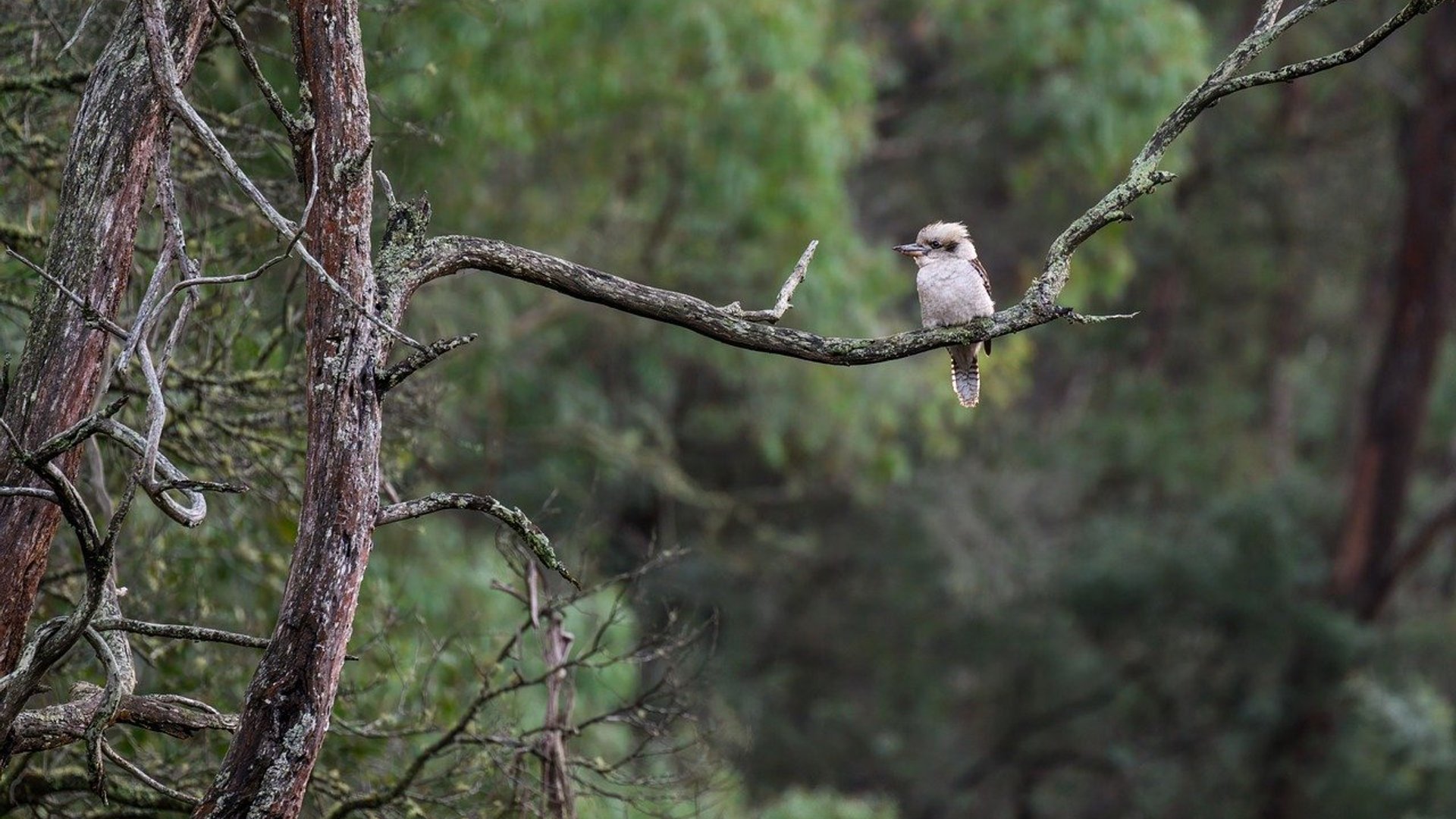 Professional web design hero image