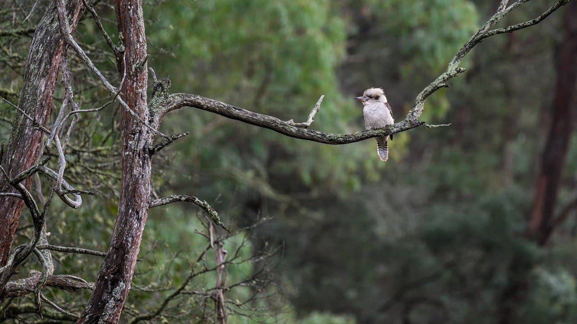 Professional web design hero image